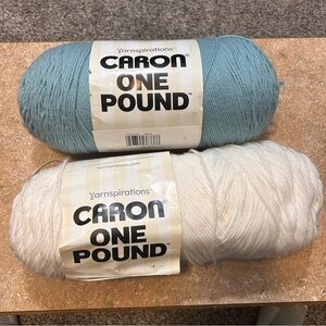 Caron One Pound Yarn - Soft Blue and White